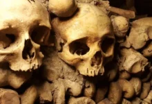 سراديب الموتى في الإسكندرية وباريس