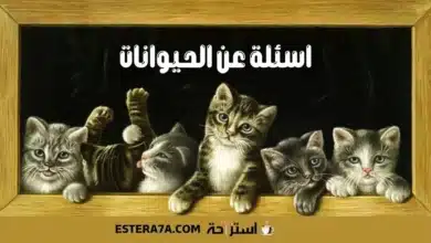 اسئلة عن الحيوانات