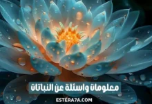 اسئلة عن النباتات