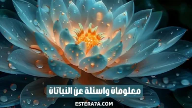 اسئلة عن النباتات